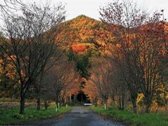 秋の久慈平岳