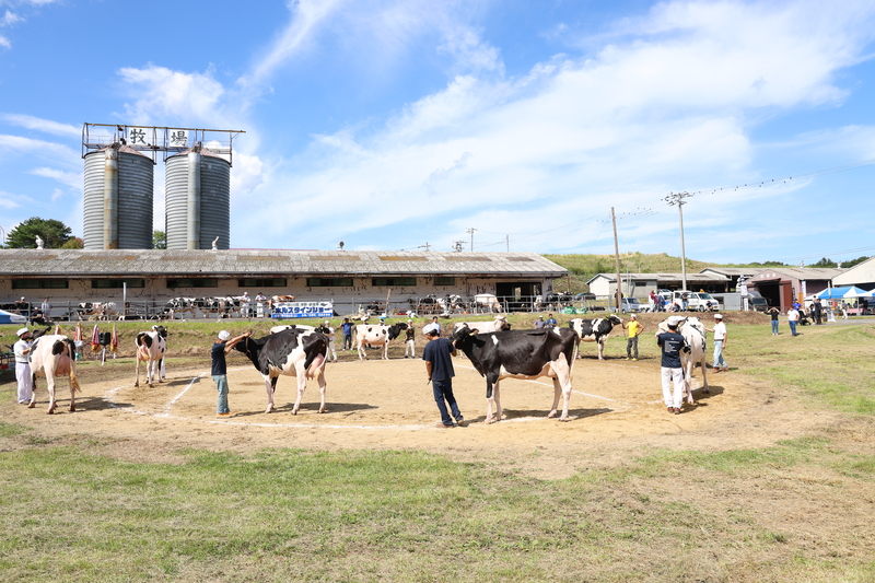 20250911_畜産まつり2